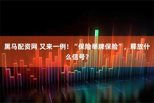 黑马配资网 又来一例！“保险举牌保险”，释放什么信号？