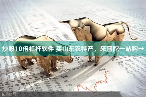 炒股10倍杠杆软件 买山东农特产，来普陀一站购→