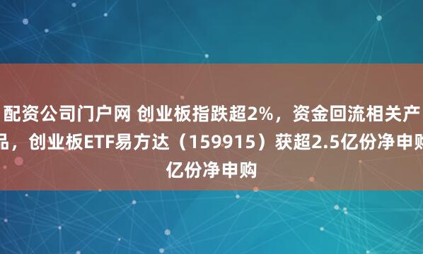 配资公司门户网 创业板指跌超2%，资金回流相关产品，创业板ETF易方达（159915）获超2.5亿份净申购